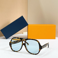 Lunettes de soleil surdimensionnées personnalisées à double pont, grandes montures carrées pour hommes, style rétro pour la vie quotidienne