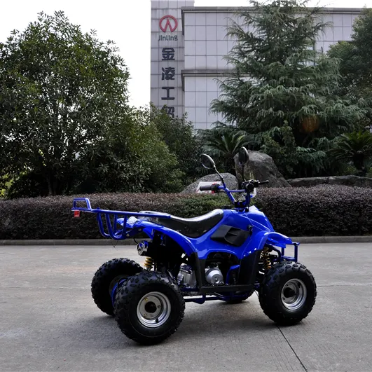 Küçük 50cc benzinli mavi renk atv 4 tekerlekli bisiklet