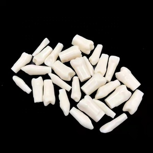 Modèle dentaire supérieur complet Sandra Dental Tw01 pour l'enseignement des dents remplaçées - Acier inoxydable et acrylique - Product Image 6