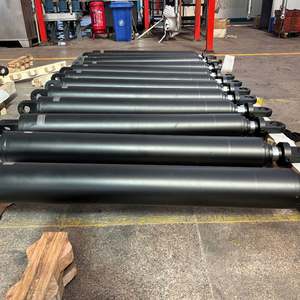 Vanne de commande pilote cylindre hydraulique à double effet pour <span class=keywords><strong>camion</strong></span> à ordures d'assainissement avec composants de base pompe piston et roulement - Product Image 6