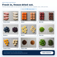 Machine de lyophilisation sous vide OEM personnalisée, équipement de lyophilisation alimentaire industriel, certifié CE