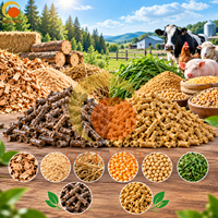 Machine à granulés à rouleaux pour la production de biomasse et d'aliments pour animaux, directement de l'usine