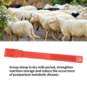 Nouveau ruban de marquage d'identification des animaux colorés sangles de cheville de bétail en plastique mouton chèvre bandes de jambe anneau de pied - Product Image 5