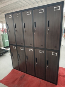 Armoire de gym personnalisée en acier laminé à froid avec impression par transfert à grain de bois, 10 ou 6 portes - Product Image 1