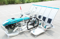 Chine Kubota Manual 6-Row Paddy Transplanter Nouvelle condition Machine de plantation de riz avec composant de moteur de base
