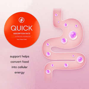 सुपर बी मल्टीविटामिन सी और फोलिक एसिड प्रतिरक्षा ऊर्जा वयस्कों के लिए गर्म बिक्री ओम/गंध 150 टैबलेट - Product Image 5