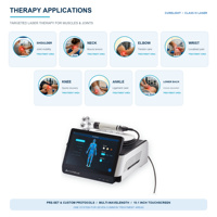 Système laser de physiothérapie professionnel de classe IV à diode pour la gestion de la douleur dans les centres de réadaptation hospitaliers
