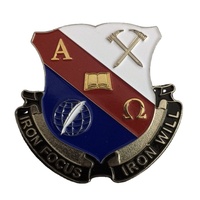 Insignes d'artisanat en métal 3D de forme irrégulière personnalisés pièces de monnaie de badge d'anniversaire double face pour souvenir