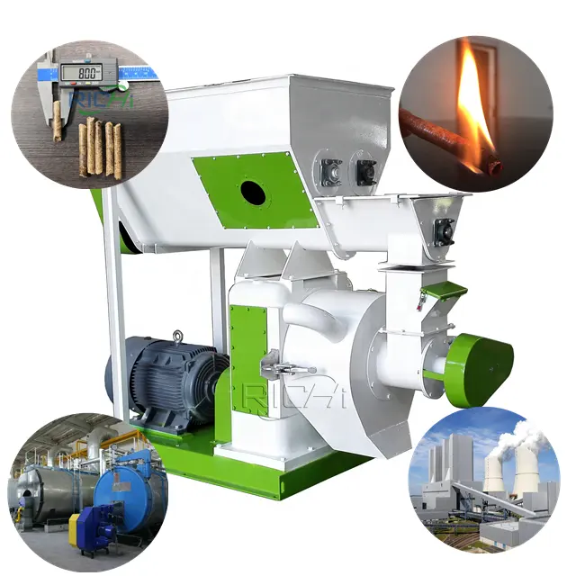 China Factory Hot Offer Lowest Price CE 1.2-1.5 T/H EFB Coconut Biomass Pellet Mill In Indonesia