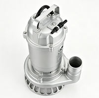 Pompe submersible pour eaux usées WQD-S de petite puissance SS316 0,37 kW, 220 V monophasé, port fileté, fonctionnement silencieux, performance stable