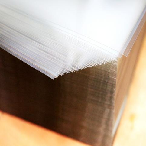 Popular 0.35mm 100LPI 3D Lenticular Sheet for Flip Effect Anime Poster Art Plastic Material Printing Packaging Printing Services