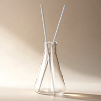 Bouteilles diffuseurs coniques en verre personnalisées en usine, de 50 ml à 300 ml, flacons en verre vides pour aromathérapie, couleur et logo personnalisables