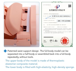 Đầy Đủ Cơ Thể Cấu Hình Cơ Bản CPR Đào Tạo Manikin Cho Khoa Học Y Tế Cơ Thể Con Người Manikin - Product Image 5
