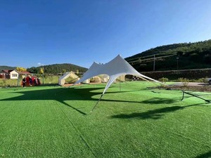 Artificial Lawn Turf Synthetic Grass Outdoor Realistic Greenery for Garden Placement - Product Image 2