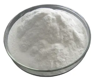 Chemicals HPMC for Tile Adhesive Raw Materials Product Category Chemical Auxiliary Agent