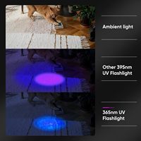 Lampe torche UV LED 365nm haute puissance, étanche, rechargeable USB-C, en aluminium, pour la détection d'urine d'animaux et de scorpions, 15 ans d'expérience en usine