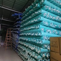 Tuyau de ventilation flexible en plastique HDPE bleu, double paroi ondulée, antibactérien, écologique, DN250mm, 3m de long, vente chaude