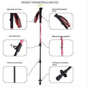 Bastoncini da Trekking Pieghevoli Antiscivolo per Sentieri nella Foresta, Escursioni in Montagna e Avventure all'Aperto - Product Image 5