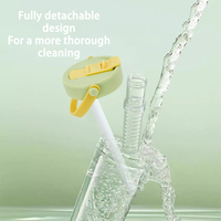Bouteille d'eau portable en plastique de 750 ml sans BPA, écologique, avec filtre à fruits et infuseur long, idéale pour l'extérieur - Vente en gros