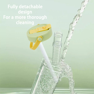 Wholesale 750ml BPA Free Eco-Friendly Filter Fruit Tea Portable Outdoor Plastic <strong>Water</strong> <strong>Bottle</strong> Straw Long <strong>Infuser</strong> Applicable - Product Image 2