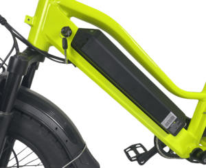 QUEENE/2024 nouveau vélo électrique <span class=keywords><strong>20</strong></span> <span class=keywords><strong>pouces</strong></span> Step Through Fat Tire 48V 750W 1000W ville Ebike vélo électrique tout-terrain pour unisexe - Product Image 4