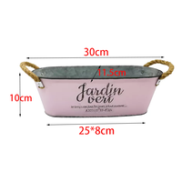 Pot de fleurs décoratif pour la maison, en zinc galvanisé, ovale, avec poignée, pot en métal pour plantes succulentes, pour la maison et le jardin
