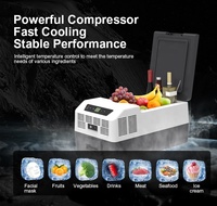 Mini-réfrigérateur solaire Tsunami 15L DC 12V pour voiture avec compresseur et écran LED contrôlable par application