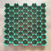 Pavé en plastique HDPE de haute qualité/tapis d'allée de grille pour l'utilisation de parc paysager extérieur de jardin pour la plantation d'herbe et le pavage