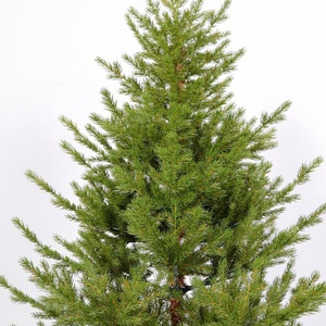 Sapin de Noël en PET toutes tailles, sapin artificiel réaliste en sapin de pin avec aiguilles denses pour la décoration d'hôtels et de centres commerciaux, décorations de Noël - Product Image 2