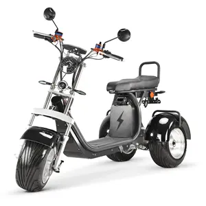 US/EU warehouse Electric Trike High Speed Electric Tricycles 3 Wheel Electric citycoco 4000w 60v30ah battery scooters