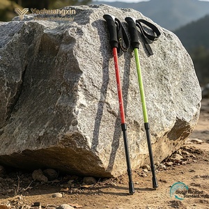 Canne de randonnée télescopique pour enfants en alliage d'aluminium avec verrouillage interne, canne de randonnée en plein air, canne d'escalade - Product Image 2