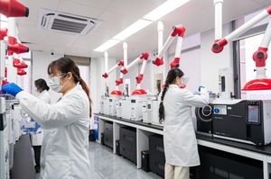 CPSIA REACH standartlarında yetişkin çocuk günlük giyim kumaş içeriği için uyum testi - Product Image 5