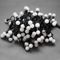 Outdoor Weihnachts-Dekorative Kugelförmige LED-Lichterkette Gartenbeleuchtung IP65-Zertifiziert Direkt vom Hersteller