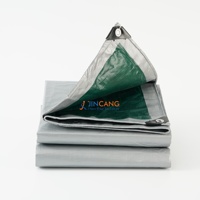 Bâche en PE légère et robuste, imperméable, pliable, résistante aux UV, pour le camping, les pique-niques et la couverture du sol