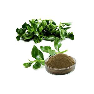 Заводская поставка, экстракт andrographi Paniculata с чистым 98% 5% андрографолидом - Product Image 2