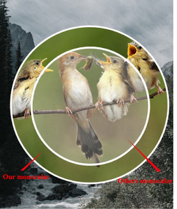 تلسكوب أحادي العدسة فائق التقريب بدقة 4K وقوة تكبير 10-300x40 مم الأعلى مبيعاً - Product Image 5