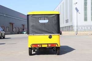 Tuk-Tuk Touristique Motorisé à Essence 9 Places pour Visites Guidées - Product Image 5