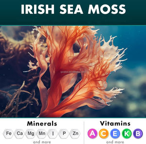 קפסולות תמצית צמחים הכל באחד מותג פרטי OEM שילאג'יט רודיולה רוזאה ג'ינסנג אשוגנדה קומפלקס ויטמינים בקבוק אחד - Product Image 5