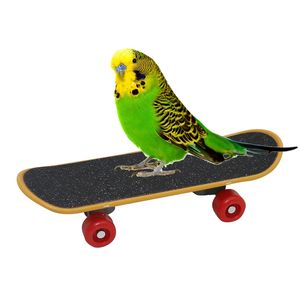 1 adet papağan eğitim kaykay kuş malzemeleri için papağanlar Lovebird kanaryalar levrek paten kuşlar Calopsita kuşlar aksesuarları - Product Image 6