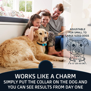 Top Seller Stop Barking <b>Dog</b> <b>Collar</b> No Bark Control <b>Collars</b> Innovative <b>Dog</b> Anti Bark <b>Collar</b> - Product Image 5