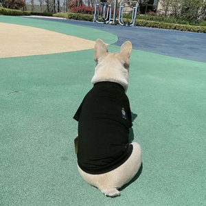 S ~ 4XL t-shirt noir et <span class=keywords><strong>blanc</strong></span> correspondant tenue <span class=keywords><strong>chien</strong></span> et propriétaire - Product Image 6