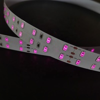 Bande Lumineuse LED Infrarouge 670nm 810nm 660 et 850nm, Bande LED 24V Rouge 5m