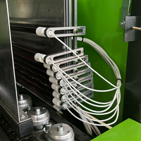 Máquina de Moldeo por Soplado Semiautomática de 2 Cavidades para Botellas de Bebidas de PE y PET - SMC PLC, Alta Productividad, Bajo Costo, Fácil de Instalar