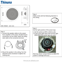 Thinuna MS-10SUB-L II Home Salon Haut-parleurs Subwoofer PA Surround Fond Musique 10 Pouces 240W Plafond Woofer Basse
