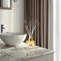 Rafraîchissement d'air de maison de luxe personnalisé pour ensemble de diffuseur de roseaux capacité de 50ml et 100ml huile de parfum de série de fruits en boîte