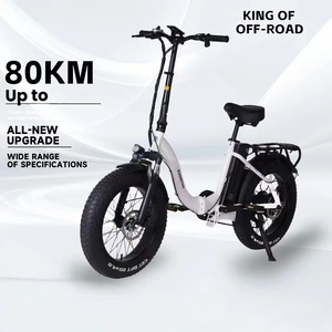 Bicicletta <span class=keywords><strong>Elettrica</strong></span> da Città con Motore Centrale ad Alte Prestazioni, 20 Pollici, 48V, per Neve, <span class=keywords><strong>Scooter</strong></span> Biposto per Pendolari, Direttamente dalla Fabbrica - Product Image 1