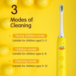 Soins bucco-dentaires et appareils de beauté personnels pour la maison Brosse à dents électrique rechargeable par USB Brosse à dents ultrasonique - Product Image 4