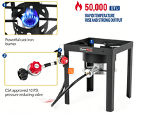 Friteuse à gaz propane d'extérieur en aluminium de 12 Qt, 50 000 BTU, avec panier intérieur nano-enduit pour la friture de poisson, de poulet, de frites, pour l'extérieur