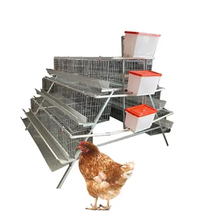 H type layer cage chicken poultry cage with automatic feeding drinking system for chicken farms