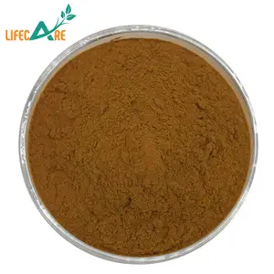 Bubuk ekstrak bunga Honeysuckle alami asam klorogenik kualitas tinggi harga terbaik